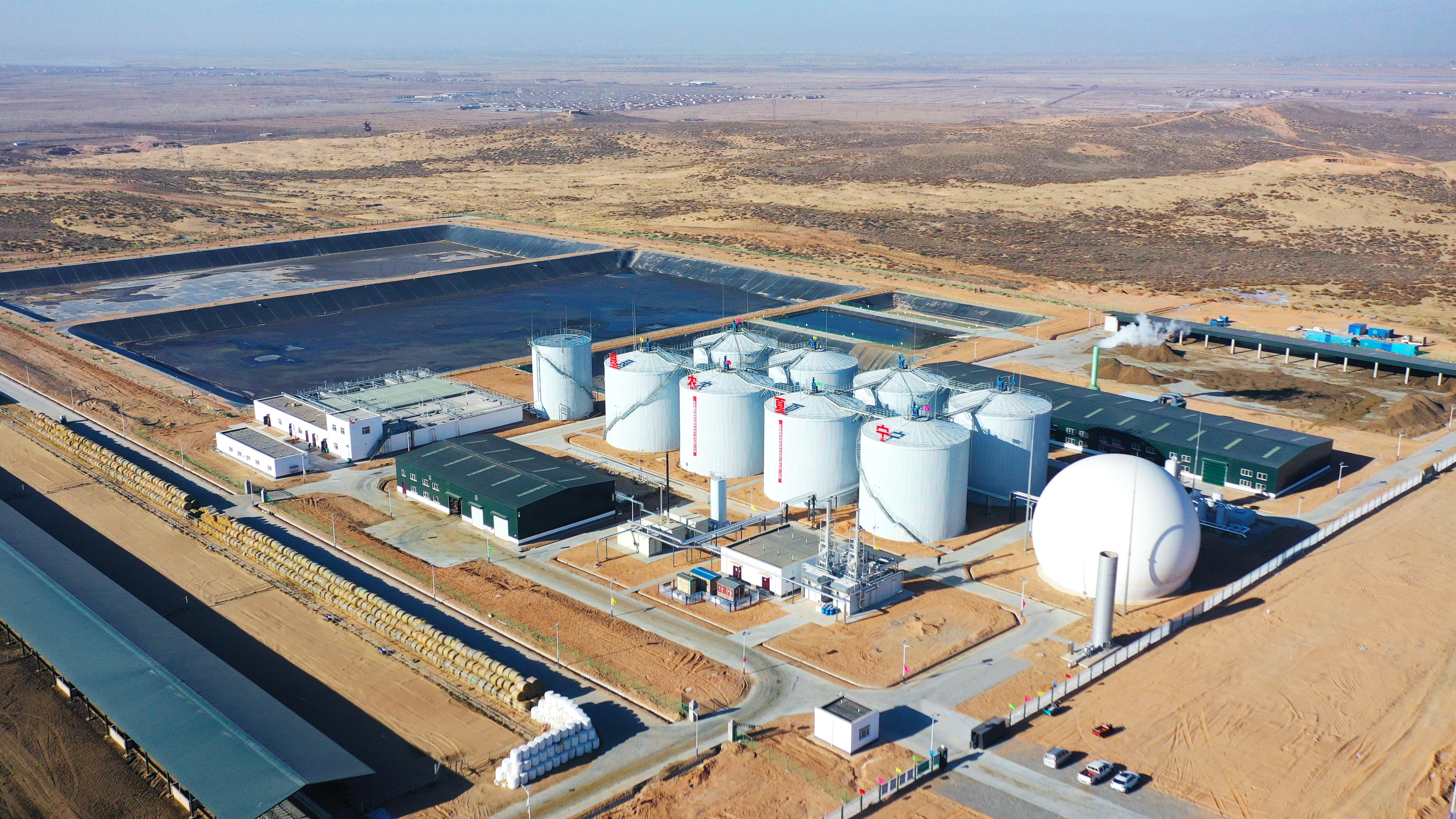 寧夏平羅 | 利墾牧業萬頭牧場熱電聯產項目