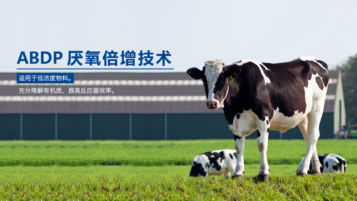 ABDP厭氧倍增技術